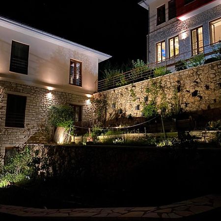 Arktos Hotel Ioannina Extérieur photo