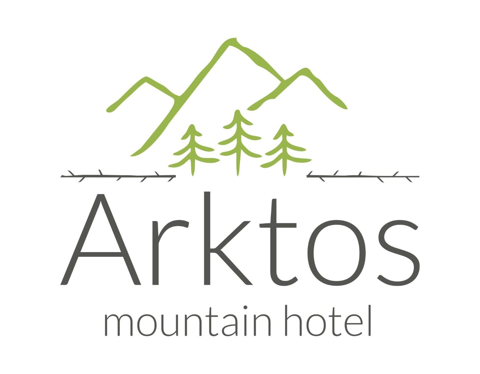 Arktos Hotel Ioannina Extérieur photo